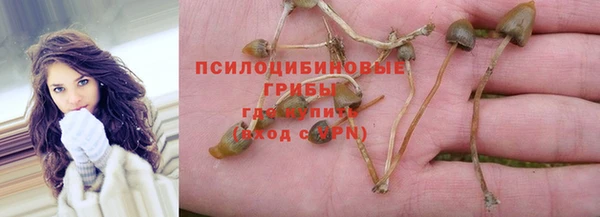 каннабис Белая Холуница