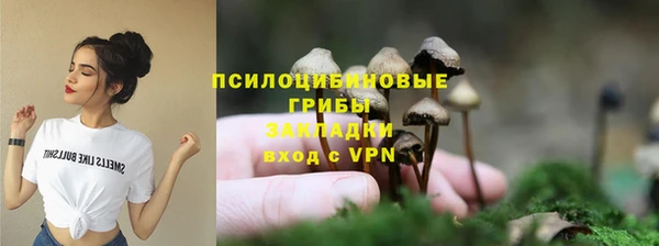 сатива Белоозёрский