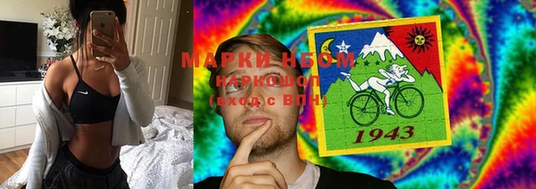 сатива Белоозёрский