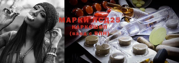 сатива Белоозёрский