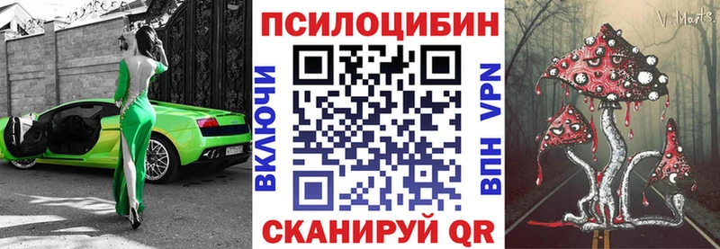 наркота Гороховец Галлюциногенные грибы мицелий